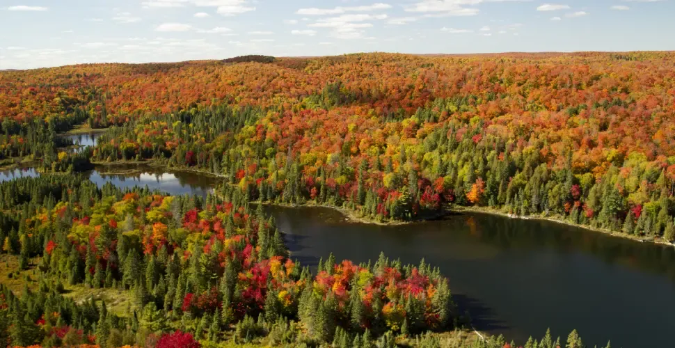 Công viên tỉnh Algonquin - Cung đường leo núi mùa thu Canada