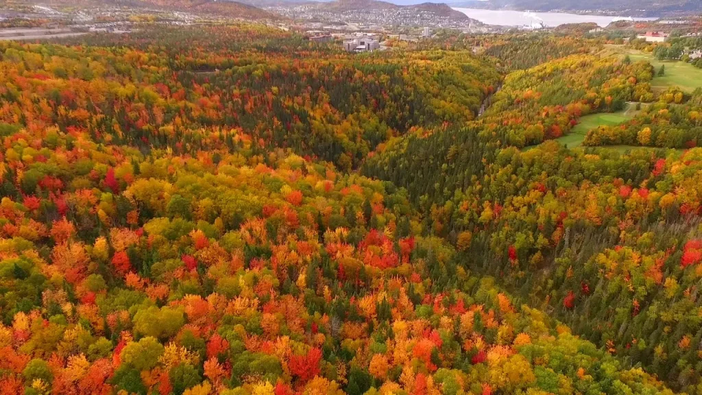 Khám phá các vịnh hẹp của Công viên Quốc gia Gros Morne