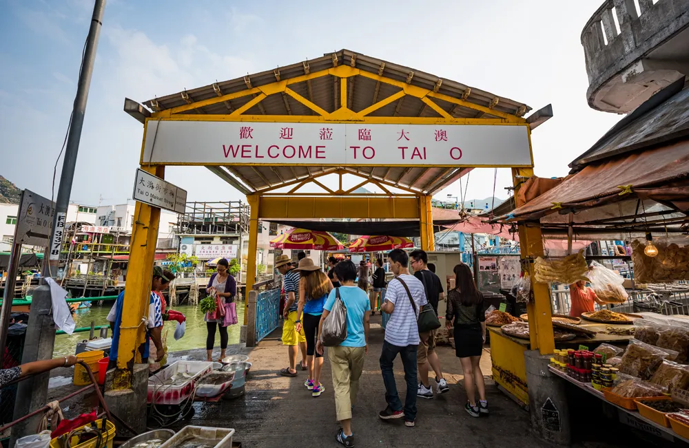 Tham quan gì ở Làng chài Tai O