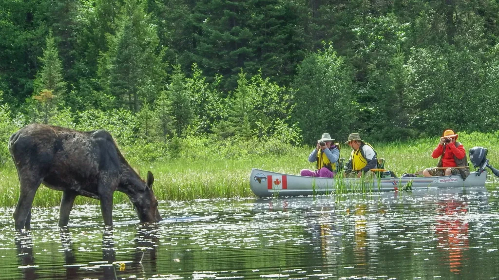 Công viên tỉnh Algonquin ở Ontario