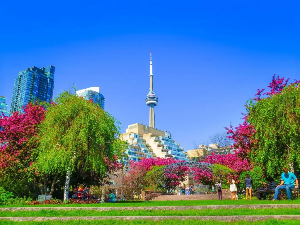 Mùa hè ở Toronto