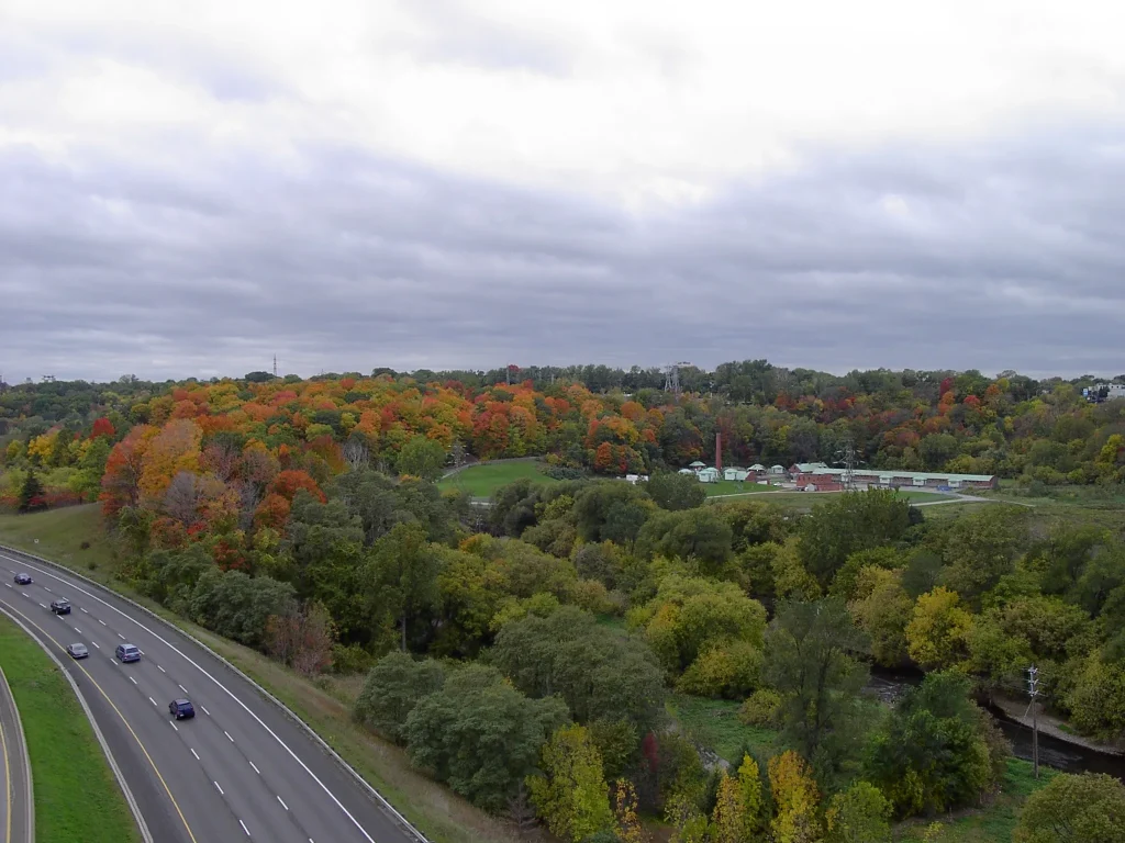 Rừng Crothers - Điểm ngắm lá mùa thu ở Toronto