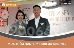 Mua thêm hành lý STARLUX Airlines đi Boston Mỹ