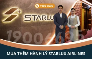 Mua thêm hành lý STARLUX Airlines đi New York Mỹ