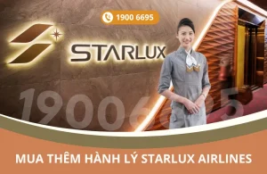 Mua thêm hành lý STARLUX Airlines đi Seattle Mỹ